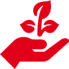 Icon of hand holding a sprouting seed
